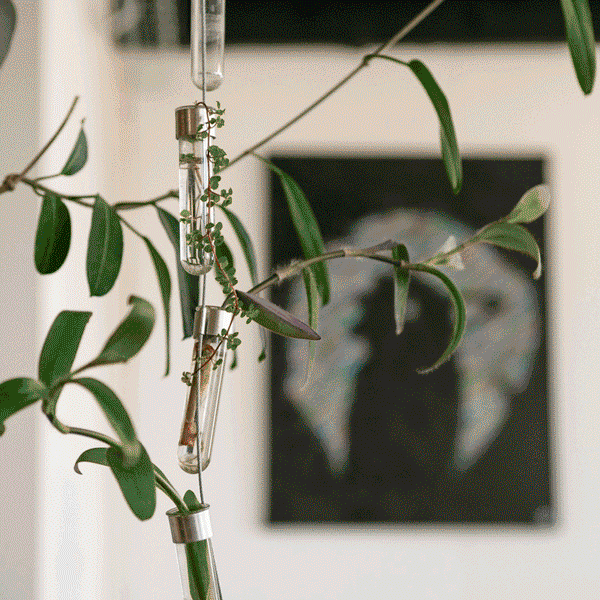 light gif-Comme-un-arbre