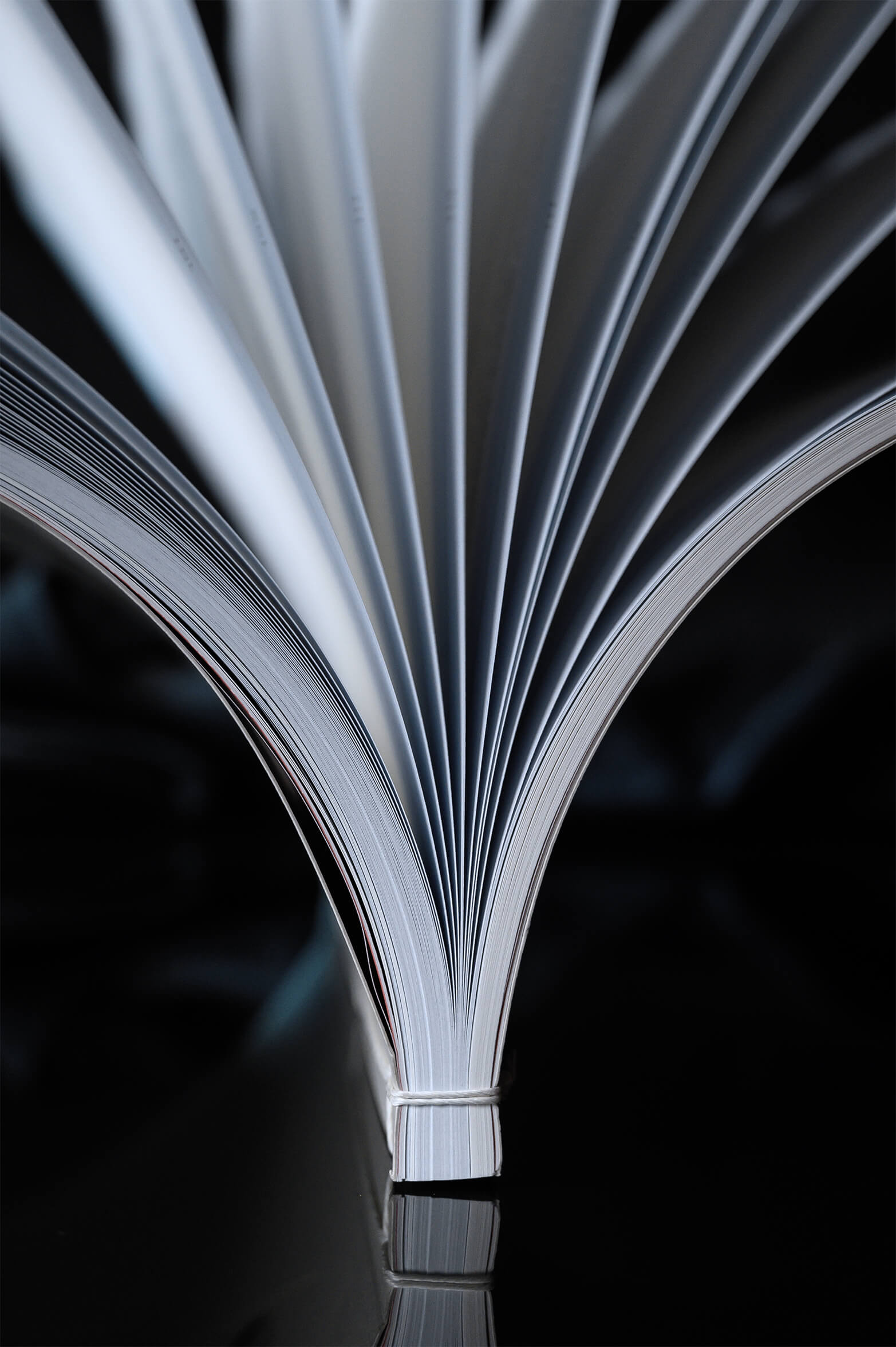 livre-japonaise